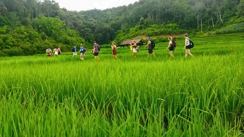 Chiang Mai: Jungle Trek, Elephants care & Bamboo Rafting - The drive back and the pacing reality: you’ll be tired, not bored