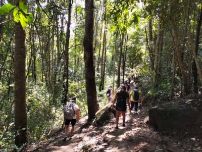 Chiang Mai: Mae Ya Waterfall & Pha Dok Siew Trail Trek - Wachiratharn Waterfall: The Friendly Start Before the Hike
