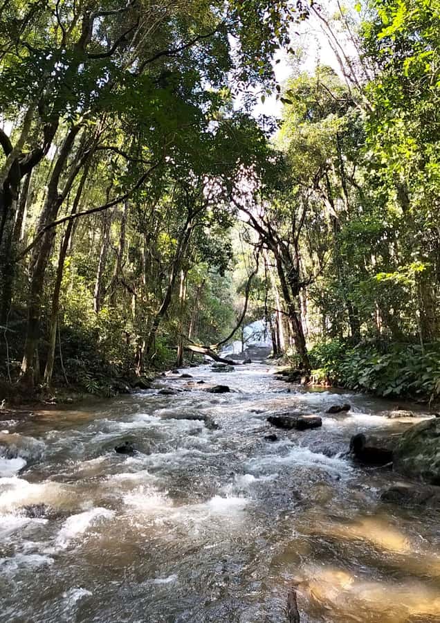 Chiang Mai: Mae Ya Waterfall & Pha Dok Siew Trail Trek - Mae Ya Waterfall: The 280-Meter Cliff Finale