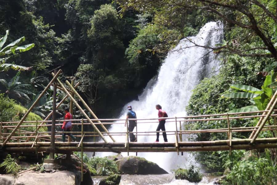 Chiang Mai: Mae Ya Waterfall & Pha Dok Siew Trail Trek - Timing and Getting Around: A Practical Day Plan
