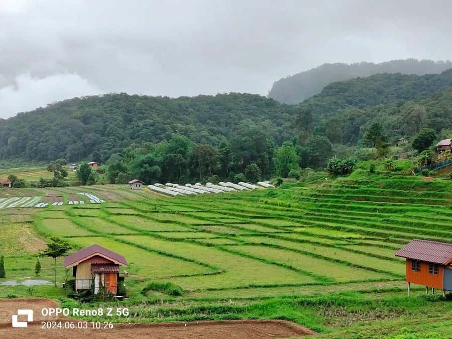 Chiang Mai: Mae Ya Waterfall & Pha Dok Siew Trail Trek - Who Should Book This Trek-and-Waterfall Combo?
