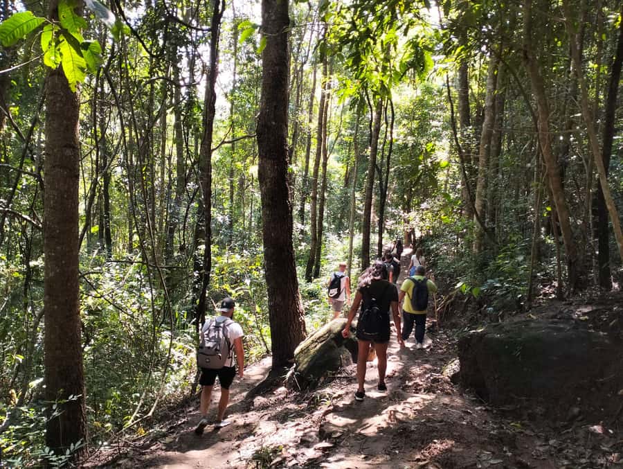Chiang Mai: Mae Ya Waterfall & Pha Dok Siew Trail Trek - Wachiratharn Waterfall: The Friendly Start Before the Hike
