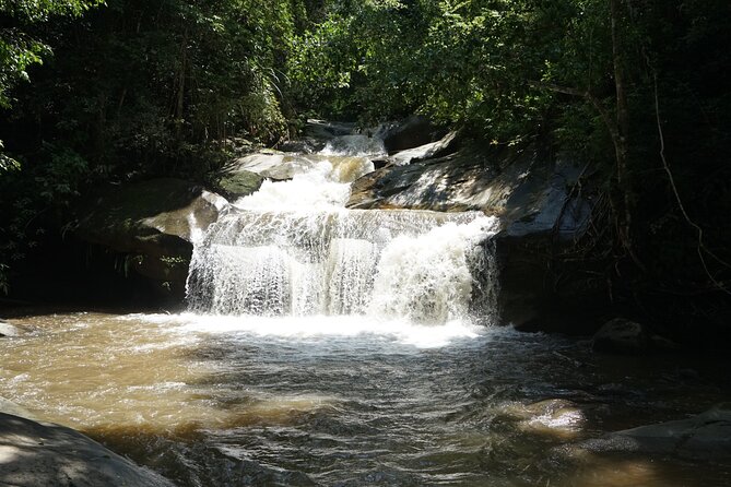 Chiang Mai Trekking Tour :Full day (no rafting) - Key highlights to know before you go