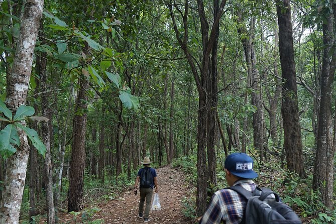 Chiang Mai Trekking Tour :Full day (no rafting) - Morning pickup at 7:30am: how the day gets rolling