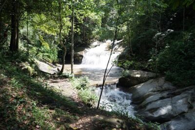 Chiang Mai Trekking Tour :Full day (no rafting) - Elephant Pride Sanctuary: what you’re really signing up for