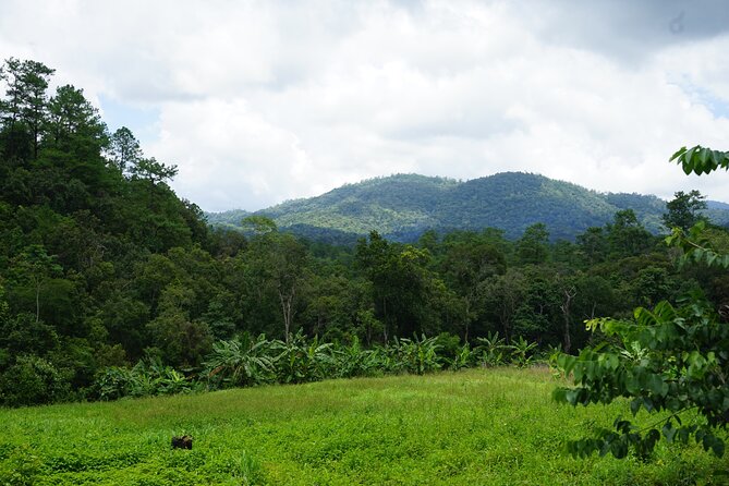 Chiang Mai Trekking Tour :Full day (no rafting) - Group dynamics and guides: why “small” changes everything