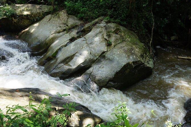 Chiang Mai Trekking Tour :Full day (no rafting) - Weather matters: the one reason plans can change