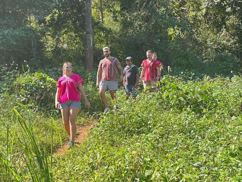 Chiang Mai Untouched Elephant: Nature Walk & Waterfall Trek - Group Size, Timing, and Why the Day May Run Long