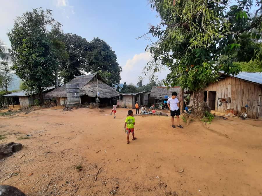 Chiang Rai 1 Day Jungle Trek with Bamboo Lunch & Local Guide - Who should book this, and who should skip it