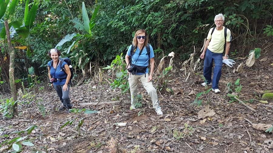 Chiang Rai 1 Day Jungle Trek with Bamboo Lunch & Local Guide - Should you book this Chiang Rai jungle trek?
