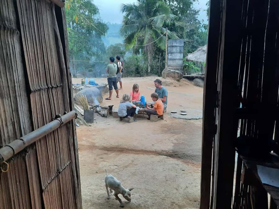 Chiang Rai 1 Day Jungle Trek with Bamboo Lunch & Local Guide - Doi Hang hiking: bamboo forest, rice paddies, and real terrain