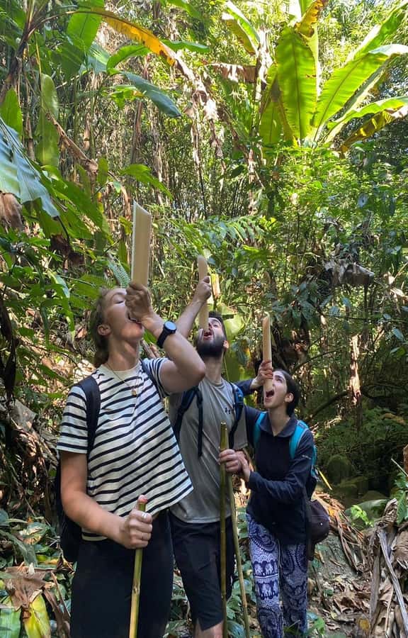 Chiang Rai: 1-Day Trekking and Longtail Boat Trip - Value check: is $96 worth a long-tail boat, trek, and waterfall swim?