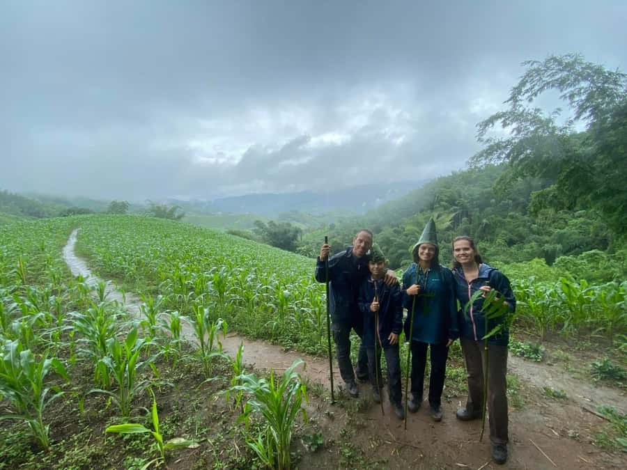 Chiang Rai: 1-Day Trekking and Longtail Boat Trip - Who this is best for (and who should skip it)