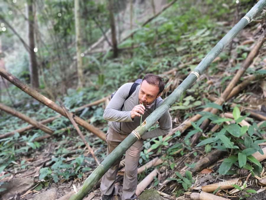 Chiang Rai: 2-Day Jungle Trek only walk with Waterfall - Day 1 start: pickup, hot spring, and learning to read the jungle
