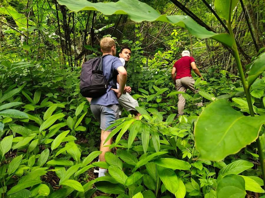 Chiang Rai: Jungle Adventure-Group Trekking & Bamboo Cooking - What this Chiang Rai jungle day really looks like