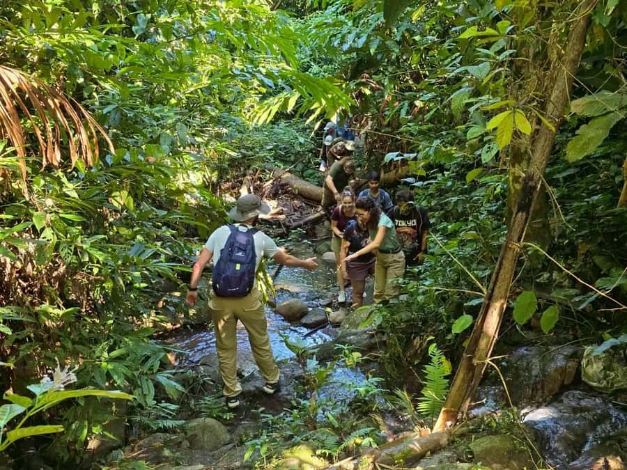 Chiang Rai: Jungle Adventure-Group Trekking & Bamboo Cooking - From Pa Soert to tea plantations: your hike begins warm