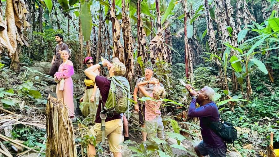Chiang Rai: Jungle Adventure-Group Trekking & Bamboo Cooking - Bamboo forest, rivers, and farmland trails