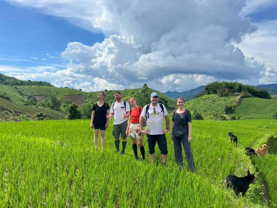 Chiang Rai: Jungle Adventure-Group Trekking & Bamboo Cooking - Getting there: the 9:00 pickup and a smooth start