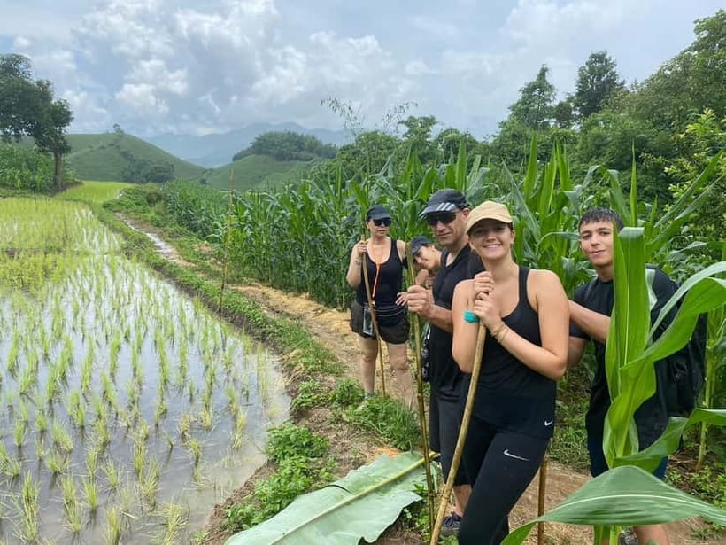 Chiang Rai Trek: 4 Hilltribes Villages & Waterfall Only Walk - A day that mixes trail time with village life (without feeling like a show)