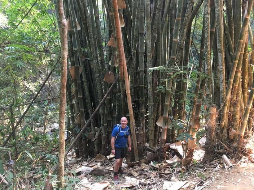Chiang Rai Trek: 4 Hilltribes Villages & Waterfall Only Walk - Akha and Lahu village walk through farms, plants, and everyday scenery