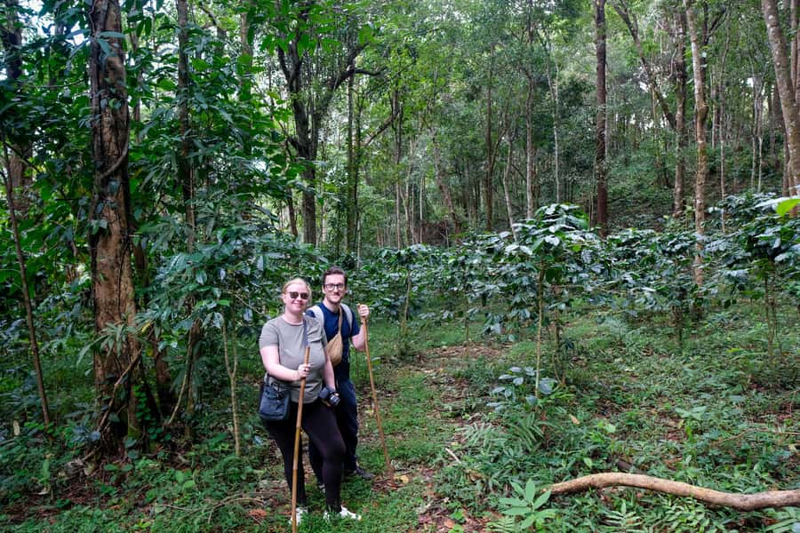 Chiangmai hilltribe Coffee Forest : Trek Plant Roast & Brew - Getting to the Upstream Coffee Forest without wasting your morning