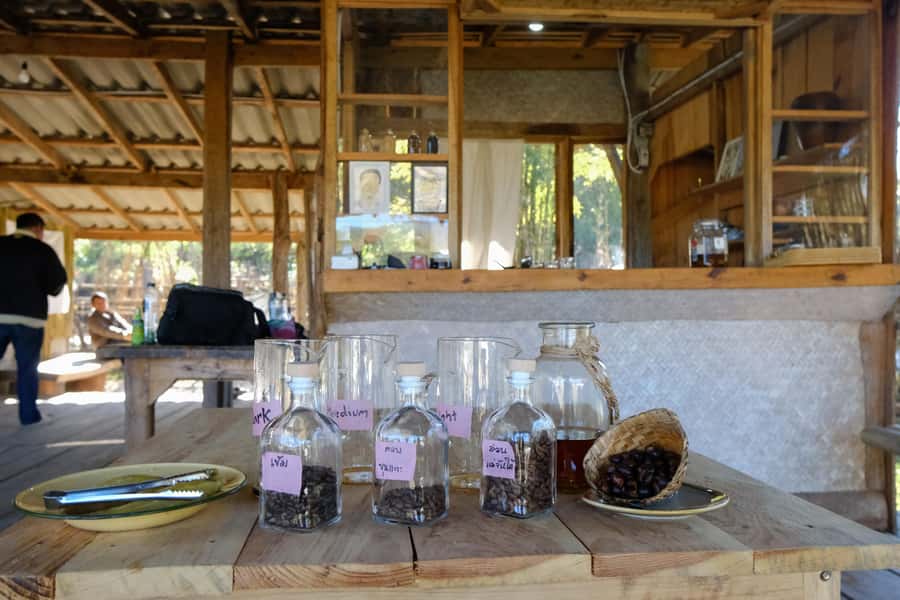 Chiangmai hilltribe Coffee Forest : Trek Plant Roast & Brew - Hands-on roasting: turning green beans into your own take-home coffee