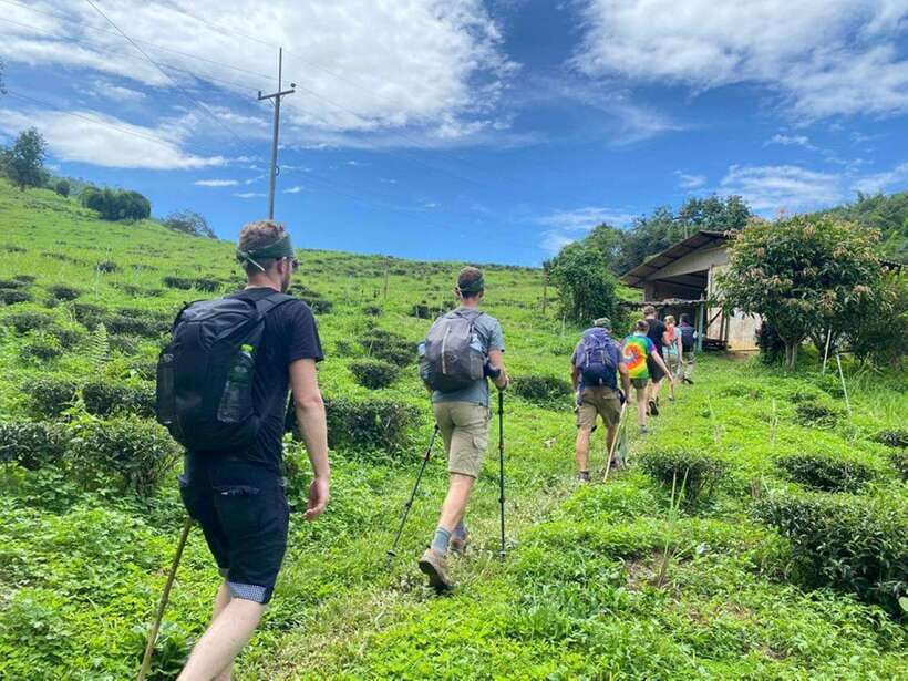 Chiangrai: Group Trekking with Bamboo Cooking - Bamboo cooking class: what you learn and why it’s more fun than a cooking demo