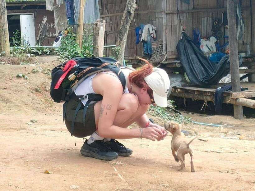 Chiangrai: Group Trekking with Bamboo Cooking - Who this tour suits best (and who should skip)