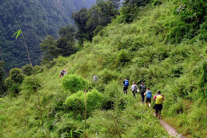 Chisapani - Nagarkot Trek Nepal - 3 Days - Day 2: Chauki Bhanjag lunch, then the descent into Nagarkot
