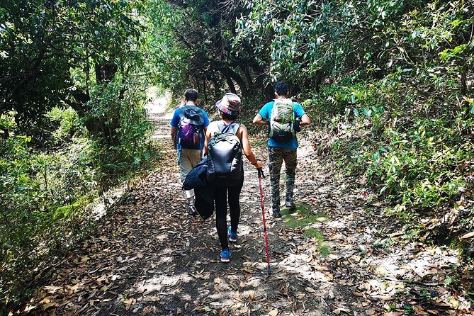 Chisapani - Nagarkot Trek Nepal - 3 Days - What your guide handles (and how that changes the quality of the trek)