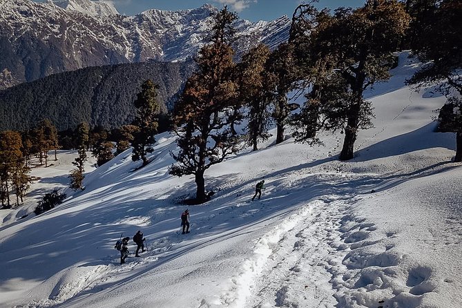 Chopta Trek - Key things to know before you go