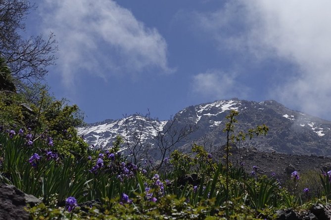 Climb Mount Toubkal - trekking - 3 days - Guides and group vibe: what the best teams do for you