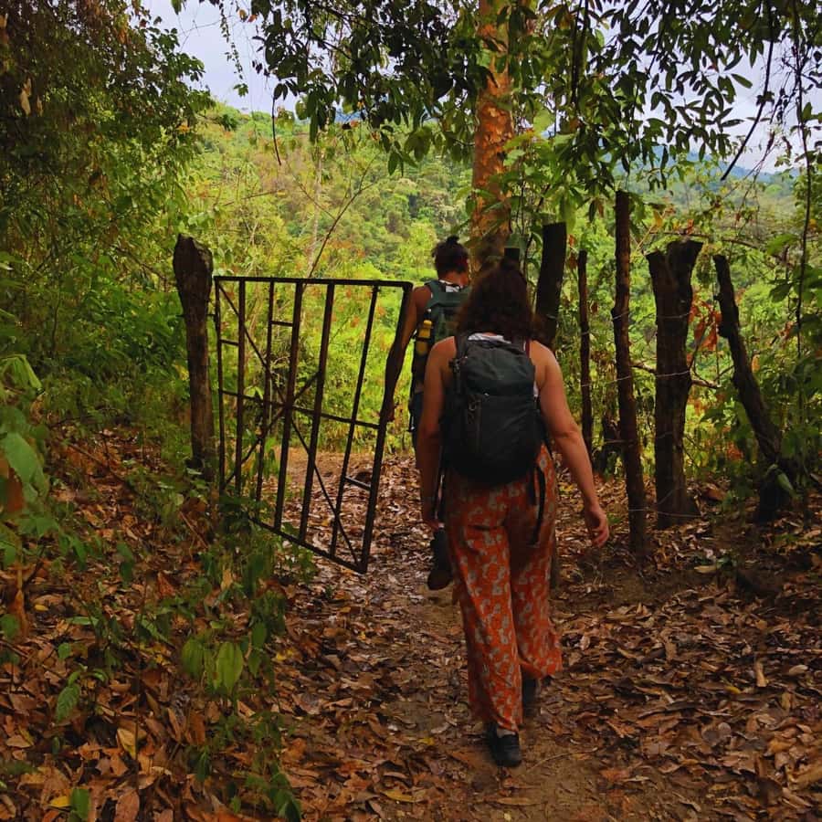 Coffee, Cocoa and Trekking Tour in Minca: Nature, Crops and Production - Coffee, Cocoa and Trekking Tour in Minca: Key Highlights You’ll Feel Immediately
