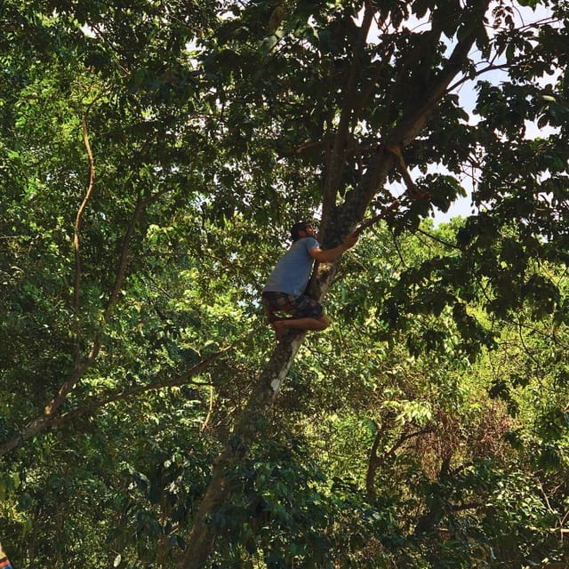 Coffee, Cocoa and Trekking Tour in Minca: Nature, Crops and Production - Finca San Rafael: Sustainable Coffee and Cocoa Production, From Crop to Cup