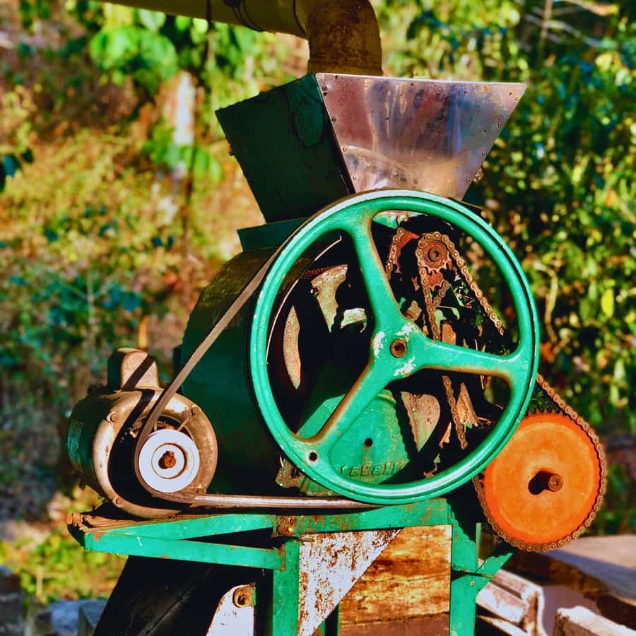 Coffee, Cocoa and Trekking Tour in Minca: Nature, Crops and Production - Coffee and Cocoa Tasting: How to Get More From the Samples