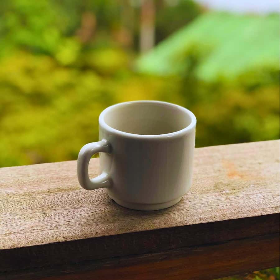 Coffee, Cocoa and Trekking Tour in Minca: Nature, Crops and Production - Who This Tour Fits Best (and Who Should Skip It)