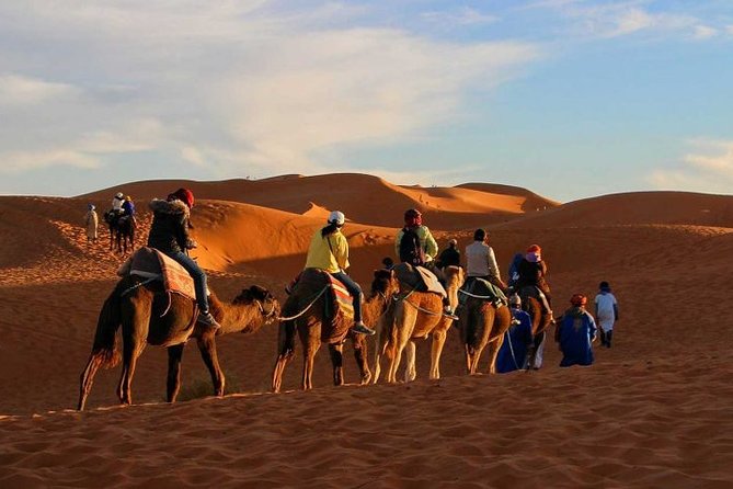 Combined Tour: Atlas Mountains Trek and Sahara Desert 5 days Tour - Key Things That Make This Tour Work