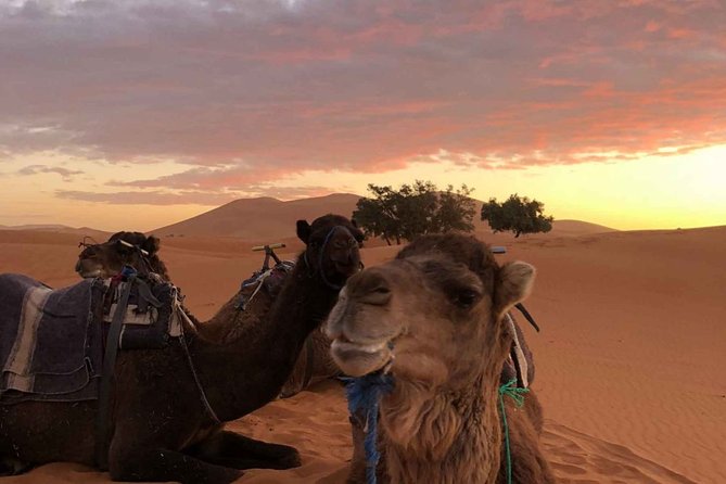 Combined Tour: Atlas Mountains Trek and Sahara Desert 5 days Tour - Marrakech to Imlil: The Easy Start Before the Climb