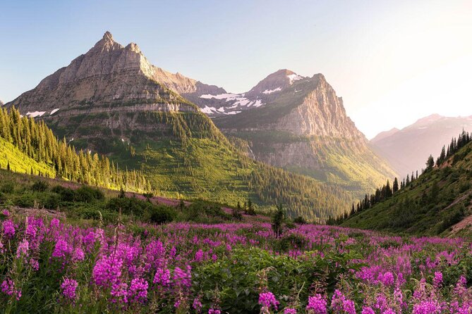 Combo Tour: Driving and Snowshoe Trek of Glacier National Park - Quick hits