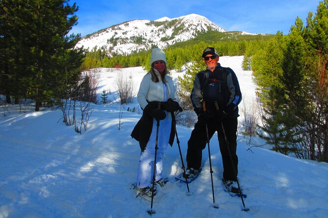 Combo Tour: Driving and Snowshoe Trek of Glacier National Park - Guides and small-group pace: why it feels personal in winter