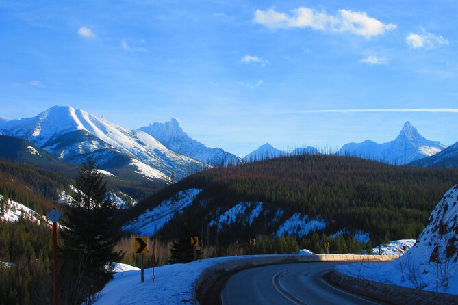 Combo Tour: Driving and Snowshoe Trek of Glacier National Park - Price and value: why a $0.00 listing (if accurate) is a standout