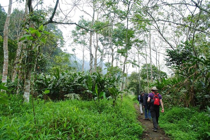 Cuc Phuong National Park Private Day Tour: Trekking & Primates - Endangered Primate Rescue Centre: Conservation You Can Actually See