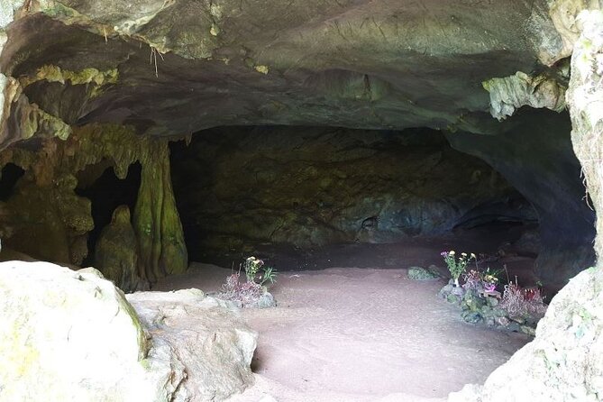Cuc Phuong National Park Private Day Tour: Trekking & Primates - Cave of Pre-historic Man: Limestone Steps Into Human Time