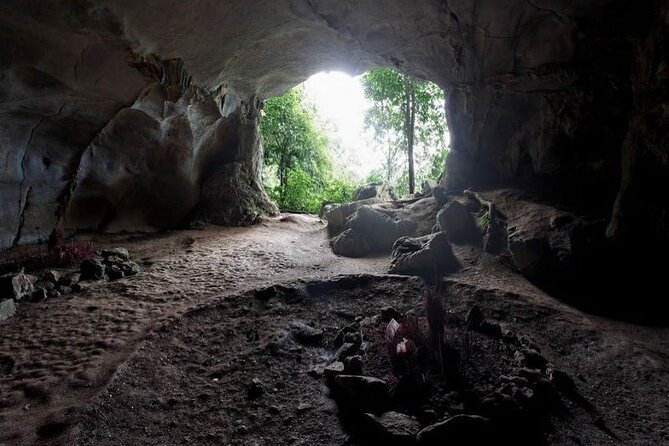 Cuc Phuong National Park Private Day Tour: Trekking & Primates - Price and Value: Is $99 a Fair Deal for a Private Jungle Day?