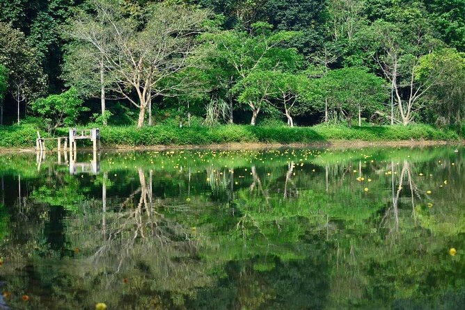 Cuc Phuong National Park Private Day Tour: Trekking & Primates - Thousand-Year-Old Tree, Jungle Valley Walking, and Lunch in the Stilt House