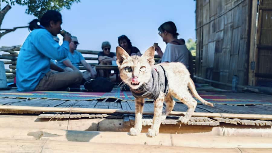 Cultural trekking and boat trip - Lunch in Chiang Rai: Local Food Style and a Real Pause