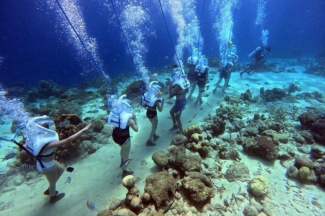 Curacao Sea Trek Snuba Combo Walk Tour and Dive the Ocean - Key things that make this combo worth your time