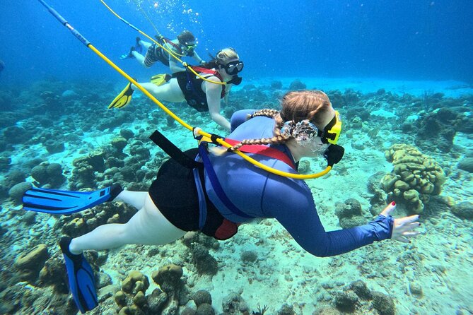 Curacao Sea Trek Snuba Combo Walk Tour and Dive the Ocean - The ~3-hour flow: briefing, then you choose the order