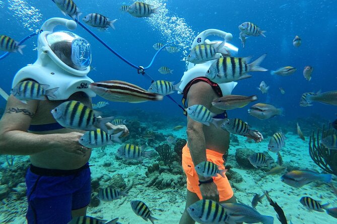 Curacao Sea Trek Snuba Combo Walk Tour and Dive the Ocean - SNUBA: go deeper with surface air and no certification