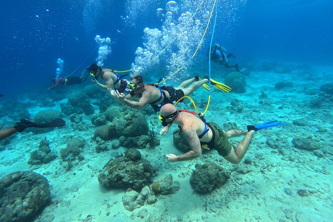 Curacao Sea Trek Snuba Combo Walk Tour and Dive the Ocean - Who should book this Sea TREK + SNUBA combo (and who should skip)